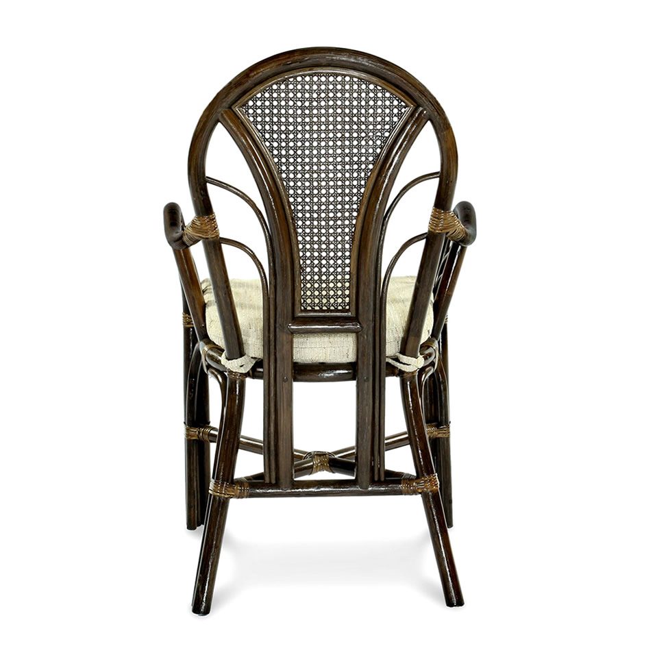 11_12_Larisa_brown_back-1